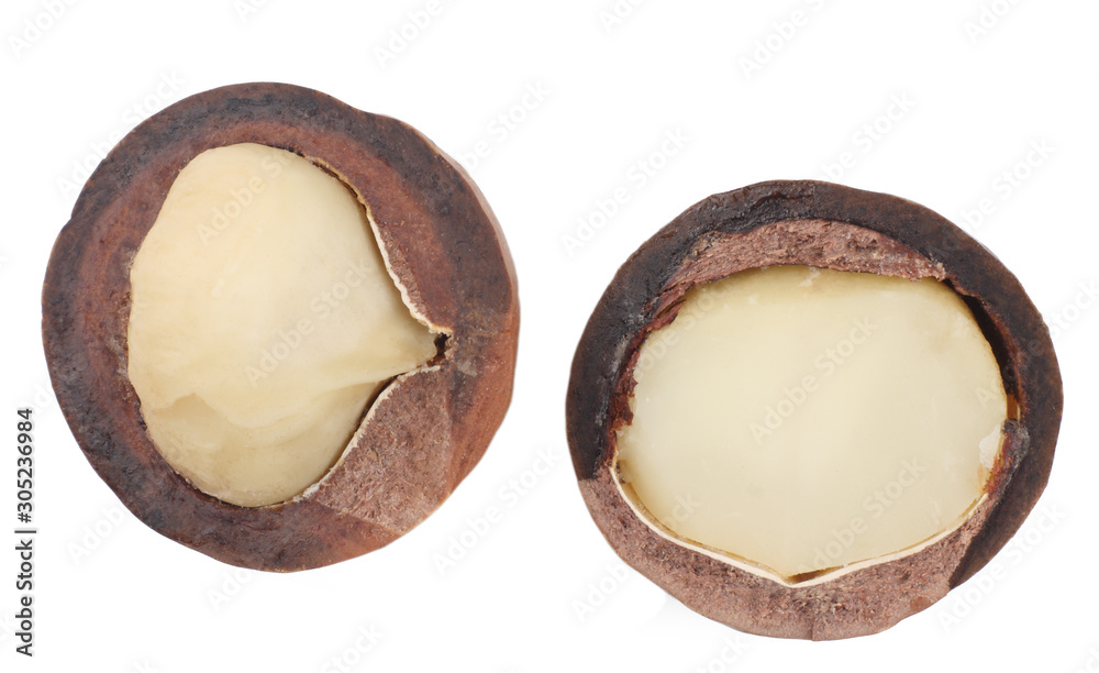 Macadamia nuts isolated on white background, top view Macadamia nuts isolated on white background, top view