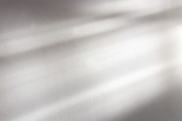 background of organic shadow over white textured wall