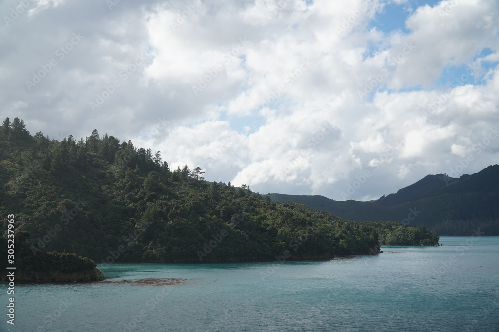 forest and blue water in the cook strait