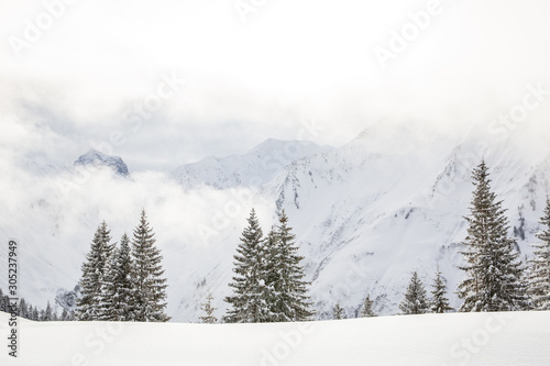 Mountains and pine trees in the fog with a lot of snow in Kleinwalsertal in Austria