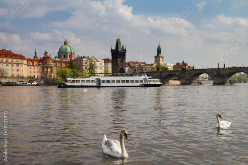 View of Charles bridge and historical center of Prague, buildings and landmarks of the old town. Swan in the foreground on the river Vltava. Czech Republic. Top tourist attraction in Europe.