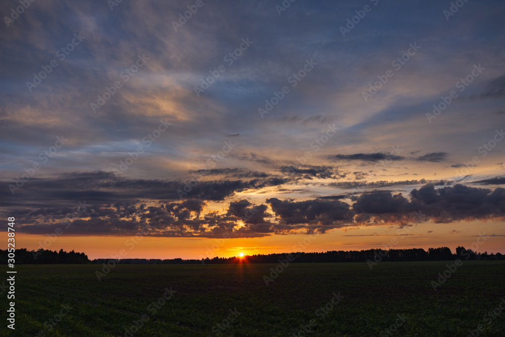 Dawn over a field of young corn on a summer morning. The sun's rays break through the clouds