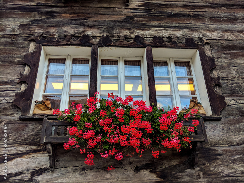 Detail of a window with flowers