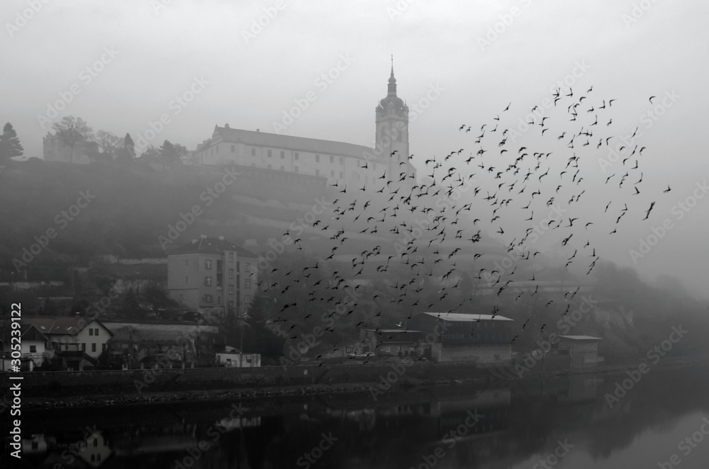 Early morning, fog over Melnik Castle and the Elbe River. A flock of black birds circles over the Elbe River. Czech Republic