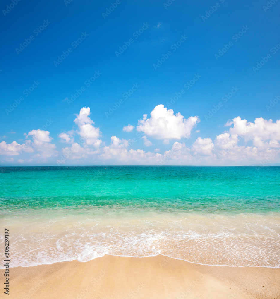 Fototapeta premium beautiful beach and tropical sea