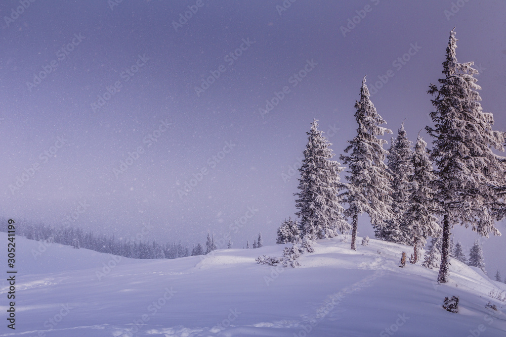Magical landscape of mountains in winter. Fantastic morning glowing by sunlight. View of snow-covered forest trees. Background of falling snowflakes. Photo greeting card.