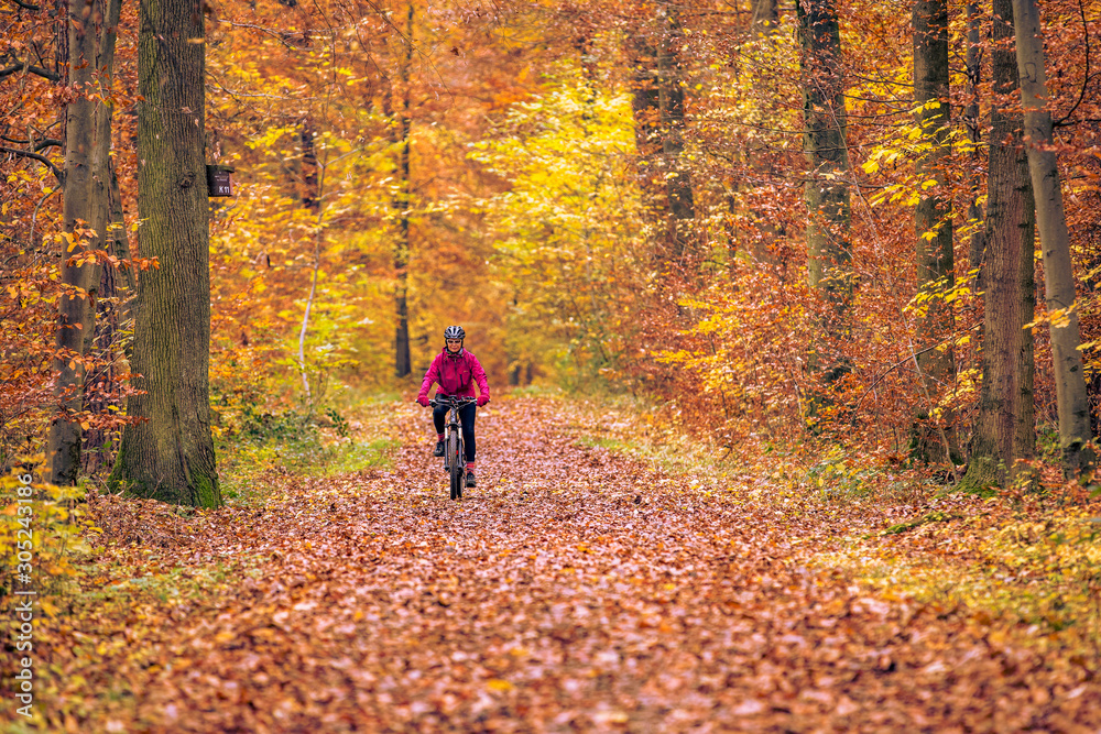 nice senior woman riding her mountainbike on the autumnal forest trails near Stuttgart, beautiful warm colors nice senior woman riding her mountainbike on the autumnal forest trails near Stuttgart, beautiful warm colors