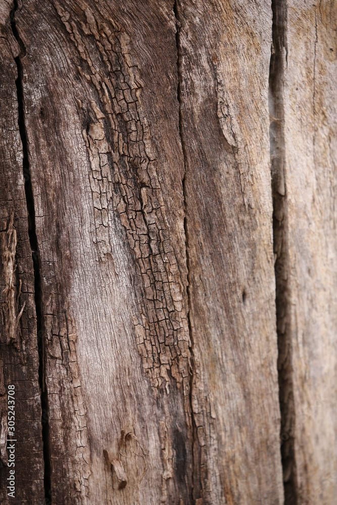 grunge wooden background texture. grunge wooden background texture.