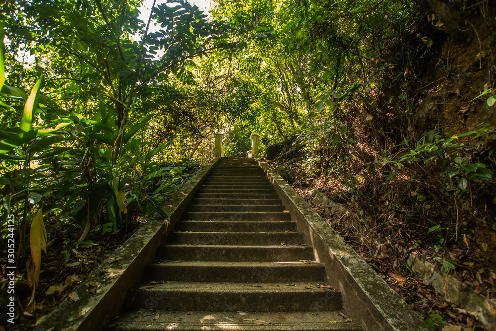 Kathu Waterfall in the tropical forest area In Asia, suitable for walks, nature walks and hiking, adventure photography Of the national park Phuket Thailand,Suitable for travel and leisure.