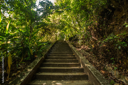 Kathu Waterfall in the tropical forest area In Asia  suitable for walks  nature walks and hiking  adventure photography Of the national park Phuket Thailand Suitable for travel and leisure.