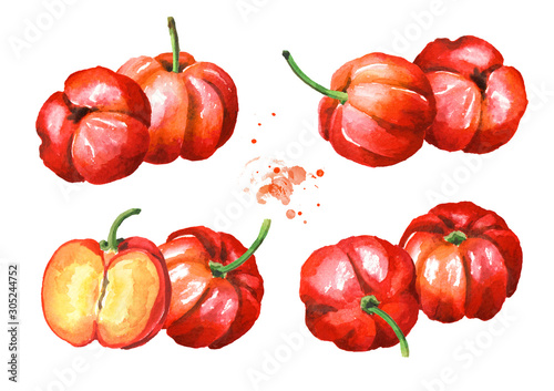 Fresh ripe Acerola  Barbados cherry set. Watercolor hand drawn illustration isolated on white background