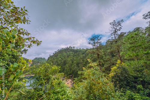 Beautiful landscape and in the background wooded mountains and a cloudy sky