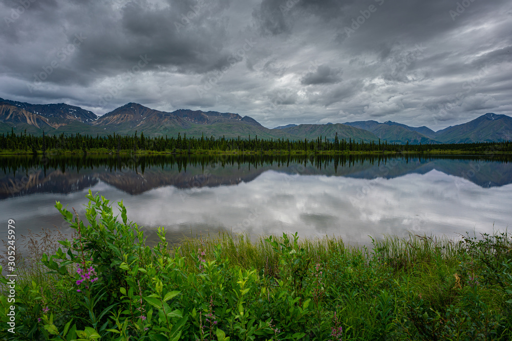Fototapeta premium Alaska pine tree forest reflection on a lake