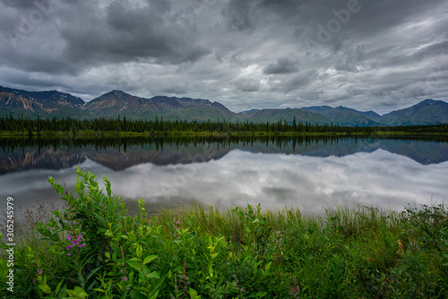 Alaska pine tree forest reflection on a lake © David