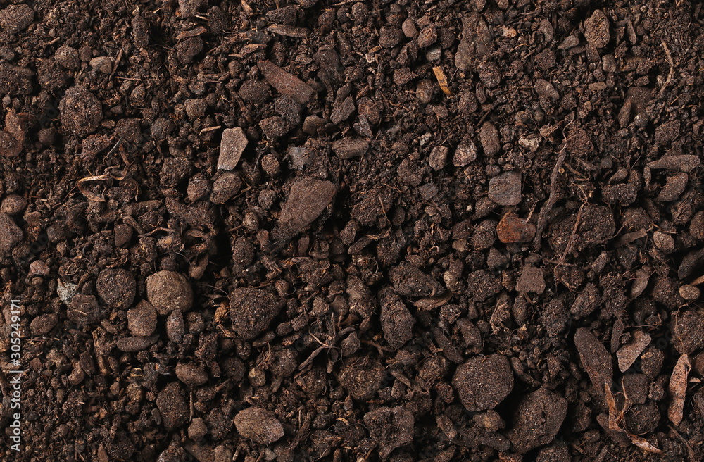 Soil background and texture, top view Soil background and texture, top view