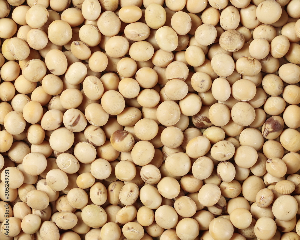 Organic raw soybeans background and texture Organic raw soybeans background and texture
