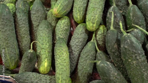 fresh cucumbers on display at the market