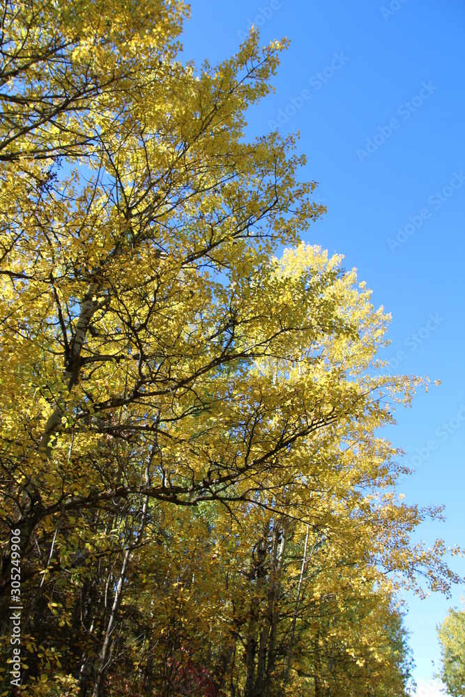 Colours Above Us, Elk Island National Park, Alberta Colours Above Us, Elk Island National Park, Alberta