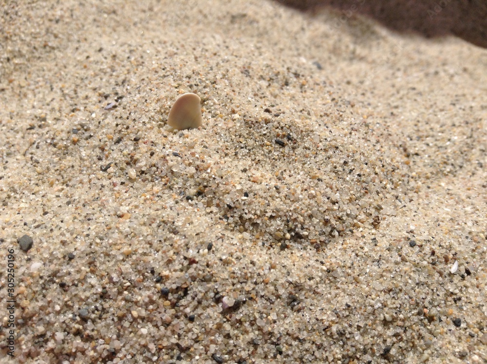 Sand/Beach Sand/Beach