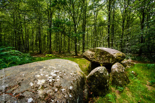 Fényképezés A dolmen in the forest trace of celts in the Brittany region