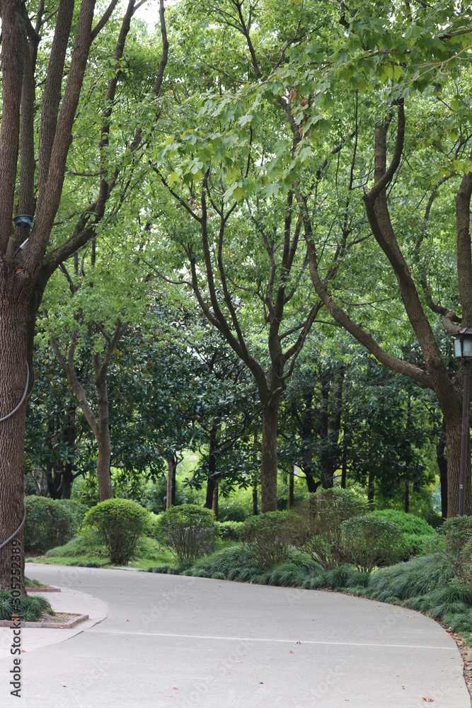 footpath in the park