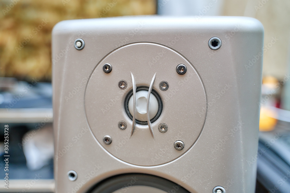 damaged tweeter on speaker system. bad, substandard sound. poor quality