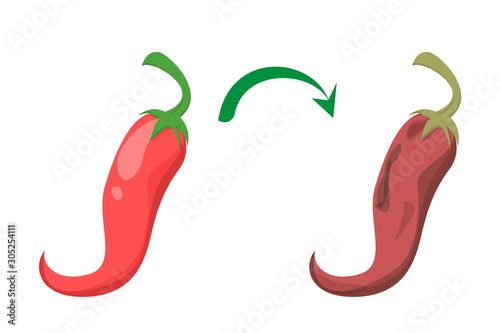Fresh and tasty red chili pepper become bad vector isolated