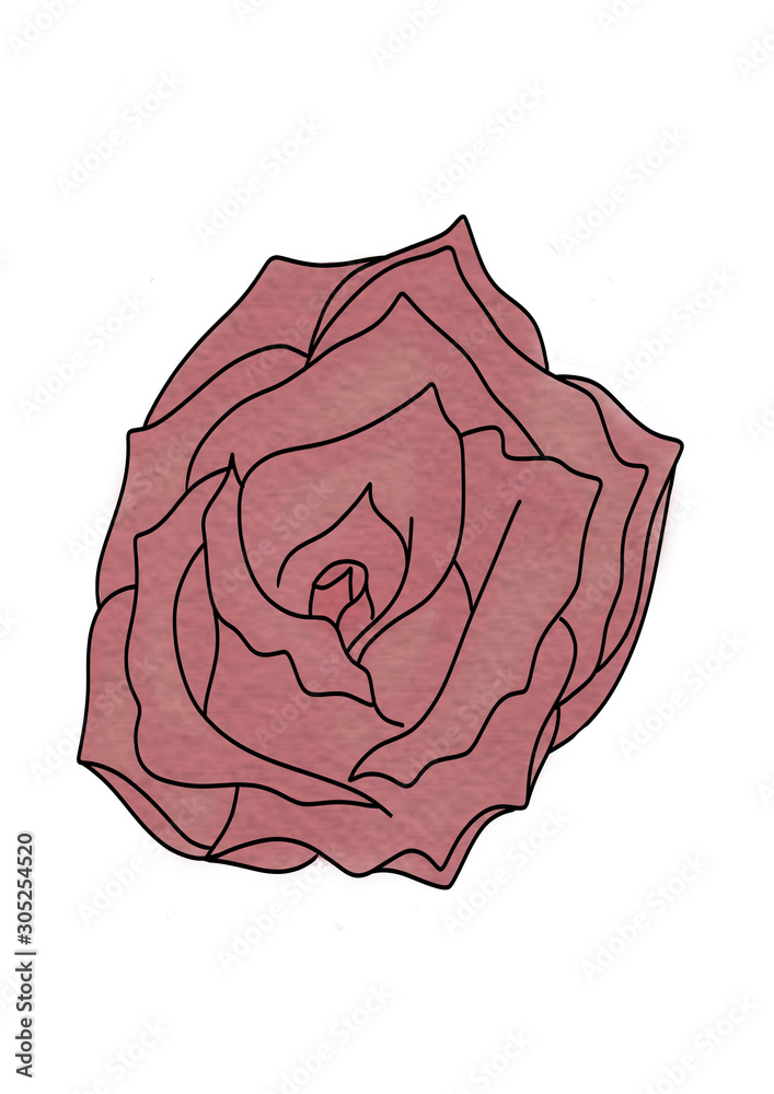 Wildflower rose flower in a watercolor style isolated. Full name of the plant: rose, hulthemia, rosa. Aquarelle wild flower for background, texture, wrapper pattern, frame or border. - Illustration Wildflower rose flower in a watercolor style isolated. Full name of the plant: rose, hulthemia, rosa. Aquarelle wild flower for background, texture, wrapper pattern, frame or border. - Illustration
