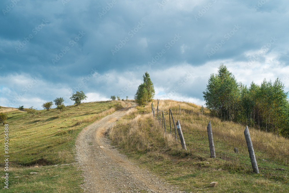 Mountain road among meadows