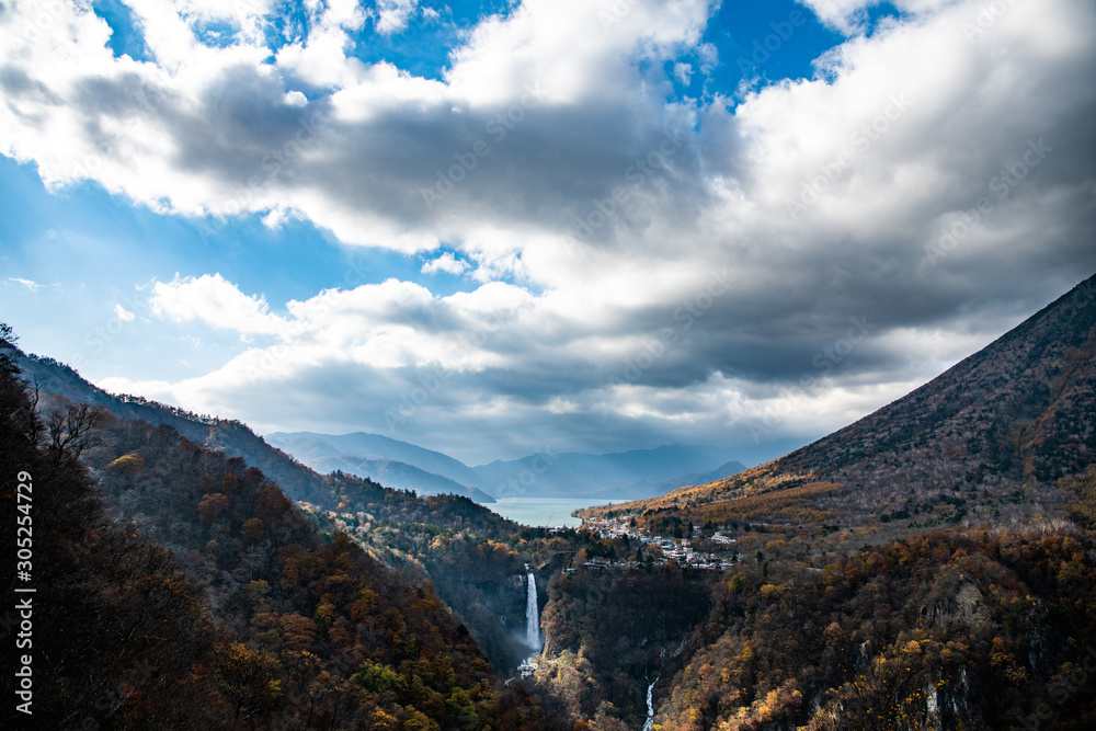 Fototapeta premium 秋