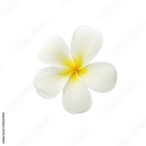 Top view on fragipani flower
