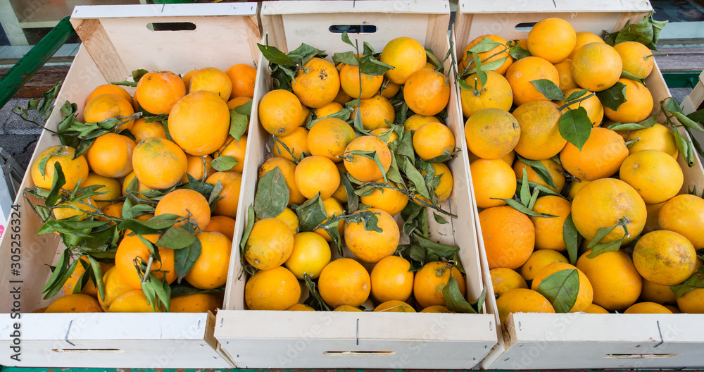 Three boxes of oranges with green leaves