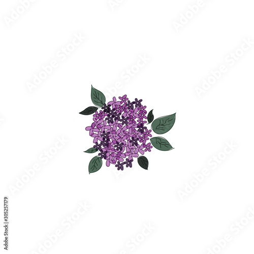 the bouquet of lilacs with leafs