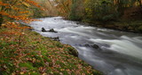 River Dart near Newbridge in autumn. Dartmoor National Park in Devon