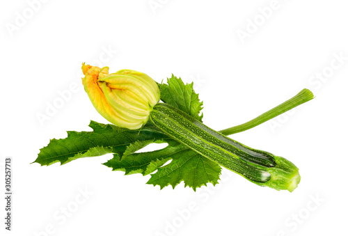  Zucchini or courgettes with flowers isolated.
