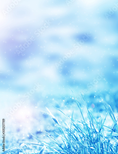 Blue tinted winter background  morning frost on the grass  sunlight with copy space