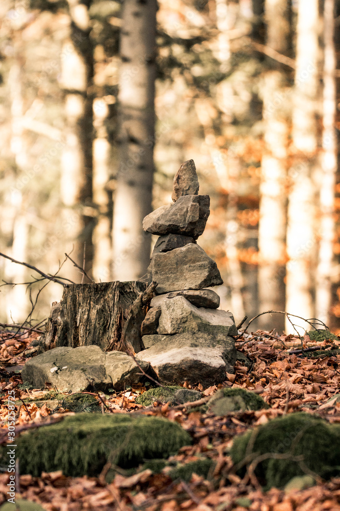 Obraz premium nature