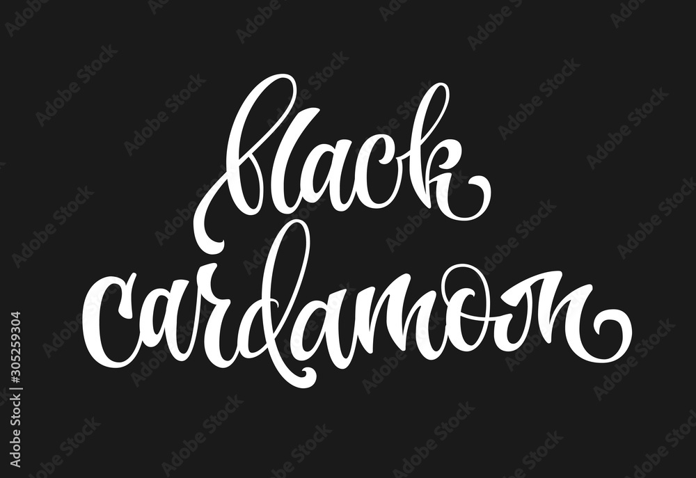 Vector hand drawn calligraphy style lettering word - Black cardamom. White colored isolated design. Isolated script spice text label.