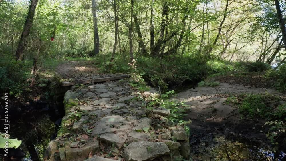 Point of view of walking in the forest with small bridge. Point of view of walking in the forest with small bridge.