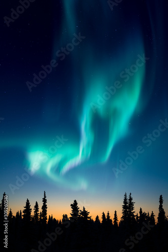 Silhouette of a three tops at early morning with a beautiful northern light on the sky photo