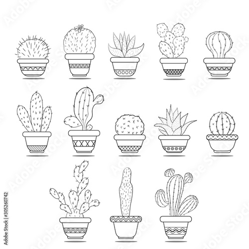 Cacti in the pots. Isolated black white illustration on white background.