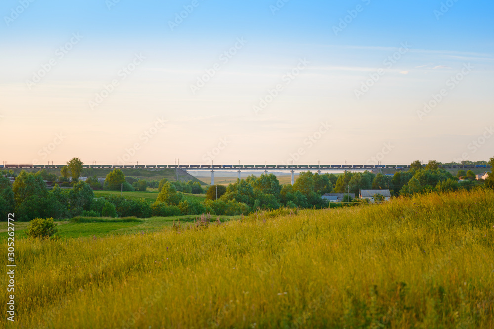Freight train passes on a railway bridge on the horizon near the village on a summer evening