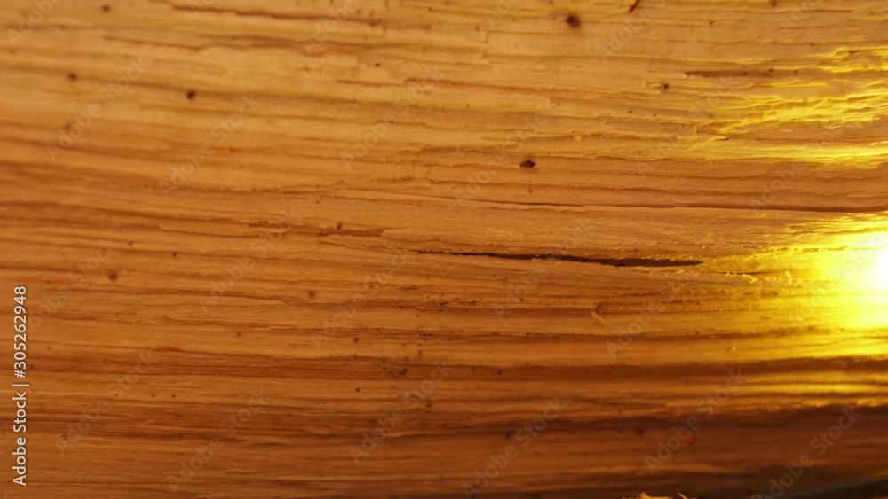 Obraz premium świeta