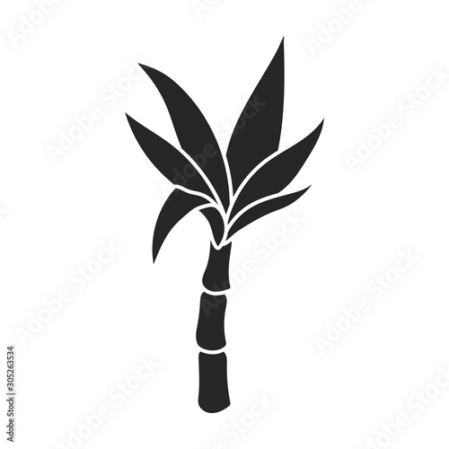 Leaves of sugarcane vector icon.Black vector icon isolated on white background leaves of sugarcane .