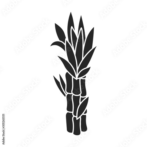 Stem of sugar cane vector icon.Black vector icon isolated on white background stem of sugar cane .