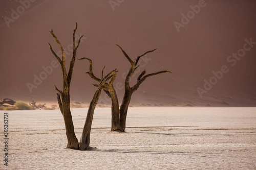Silhouettes of dry hundred years old trees in the desert among red sand dunes and whirlwind. Unusual surreal alien landscape with dead skeletons trees. Deadvlei, Namib-Naukluft National Park, Namibia.