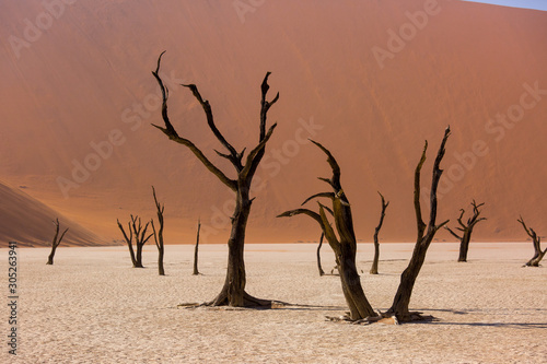 Silhouettes of dry hundred years old trees in the desert among red sand dunes and whirlwind. Unusual surreal alien landscape with dead skeletons trees. Deadvlei, Namib-Naukluft National Park, Namibia.