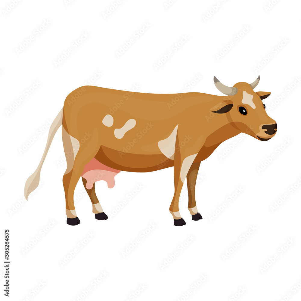 Cow of animal vector icon.Cartoon vector icon isolated on white background cow of animal. Cow of animal vector icon.Cartoon vector icon isolated on white background cow of animal.
