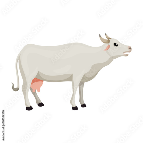 Cow vector icon.Cartoon vector icon isolated on white background cow.