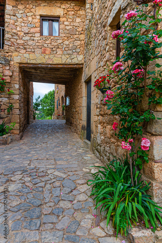 The old street in the old village. Siurana  Catalonia  Spain